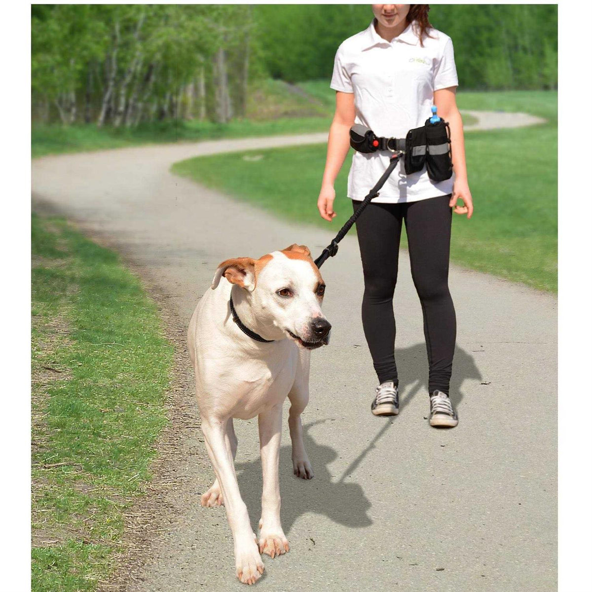 Waist Belt & Bungee Leash J98552