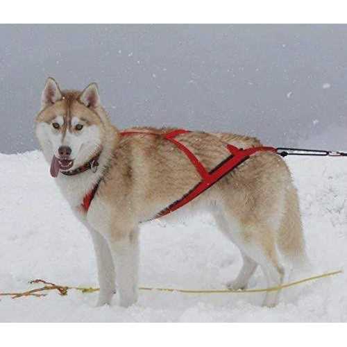 Dog Pulling Harness S625774