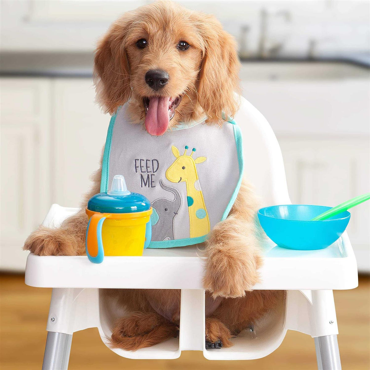 Puppy Dog Food Z29649