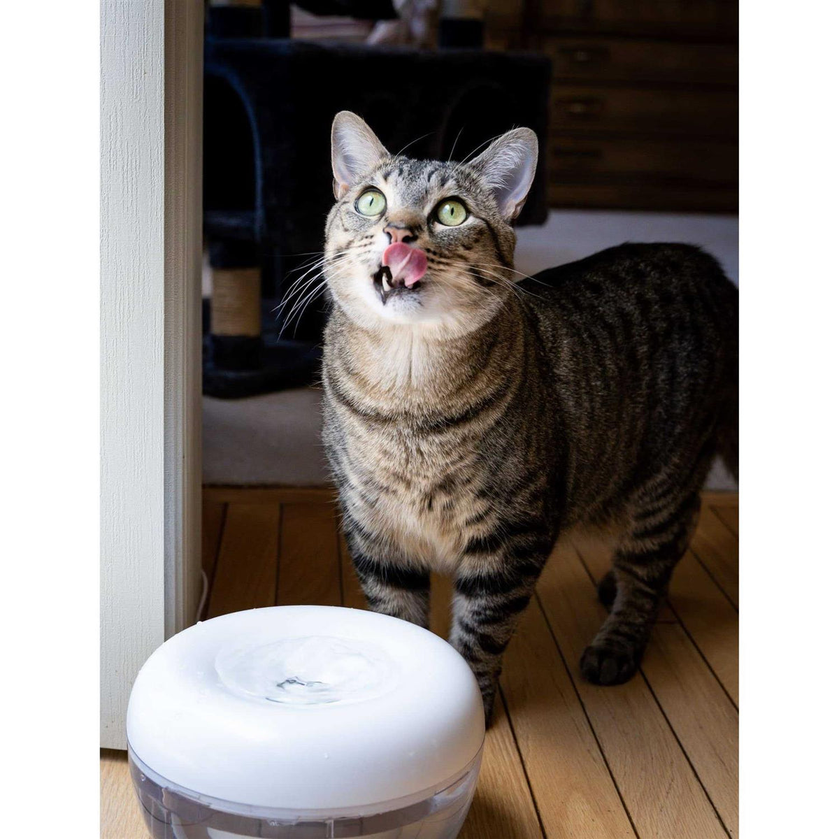 Water Fountain for Cats and Small Dogs with 5-Layer Filter N17770