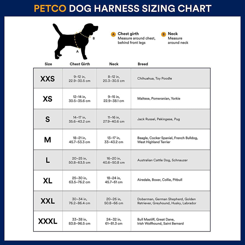 Small Dog Harness B30857
