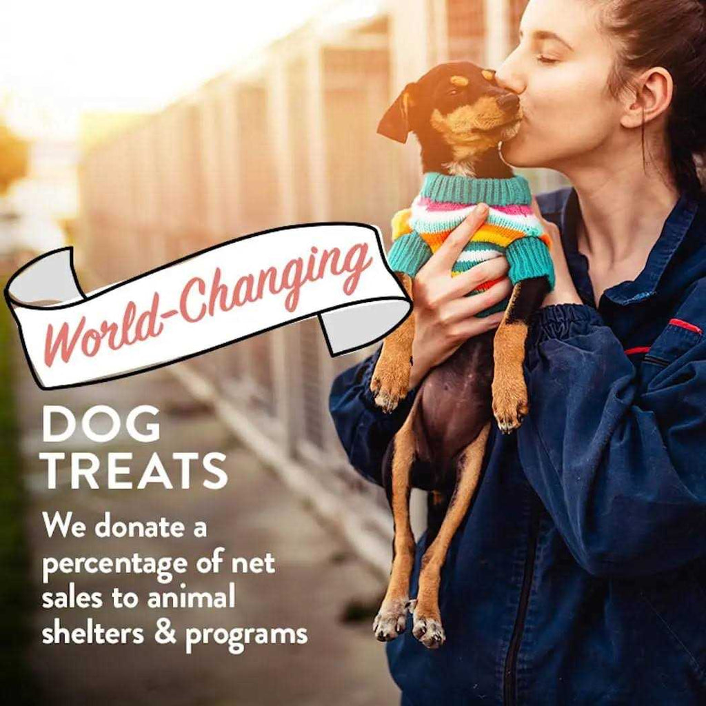 Bacon Biscuits Grain-Free & Gluten-Free Dog Treats J3502