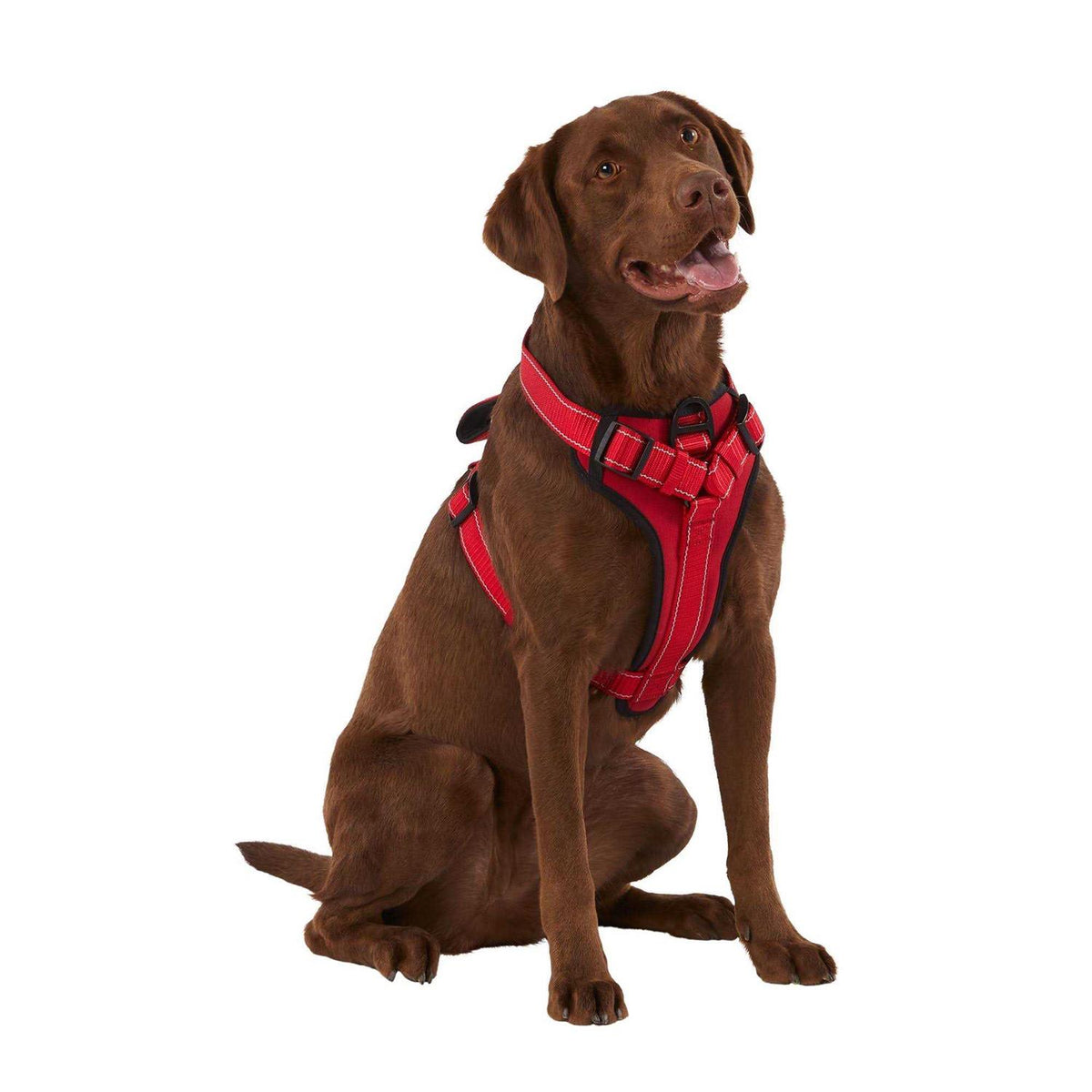 Neoprene Padded Dog Harness M68588