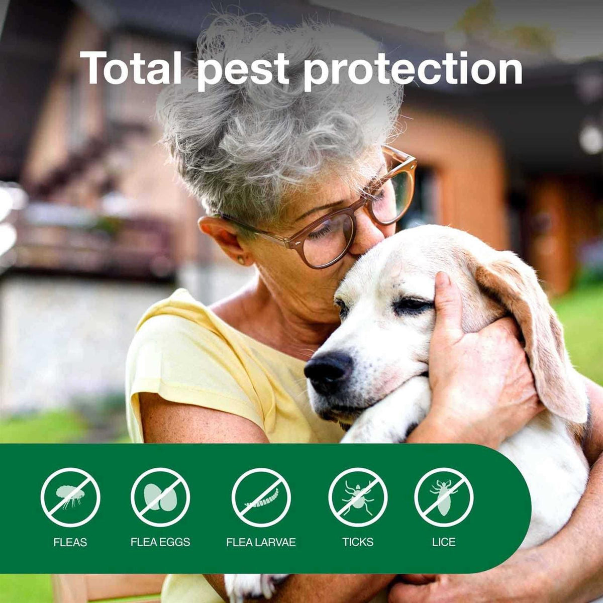 Flea & Tick Treatment Spray for Dogs U238218
