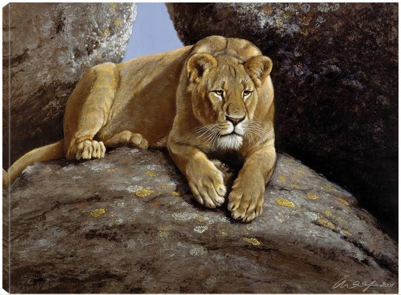 Canvas Art 32x24 D25328