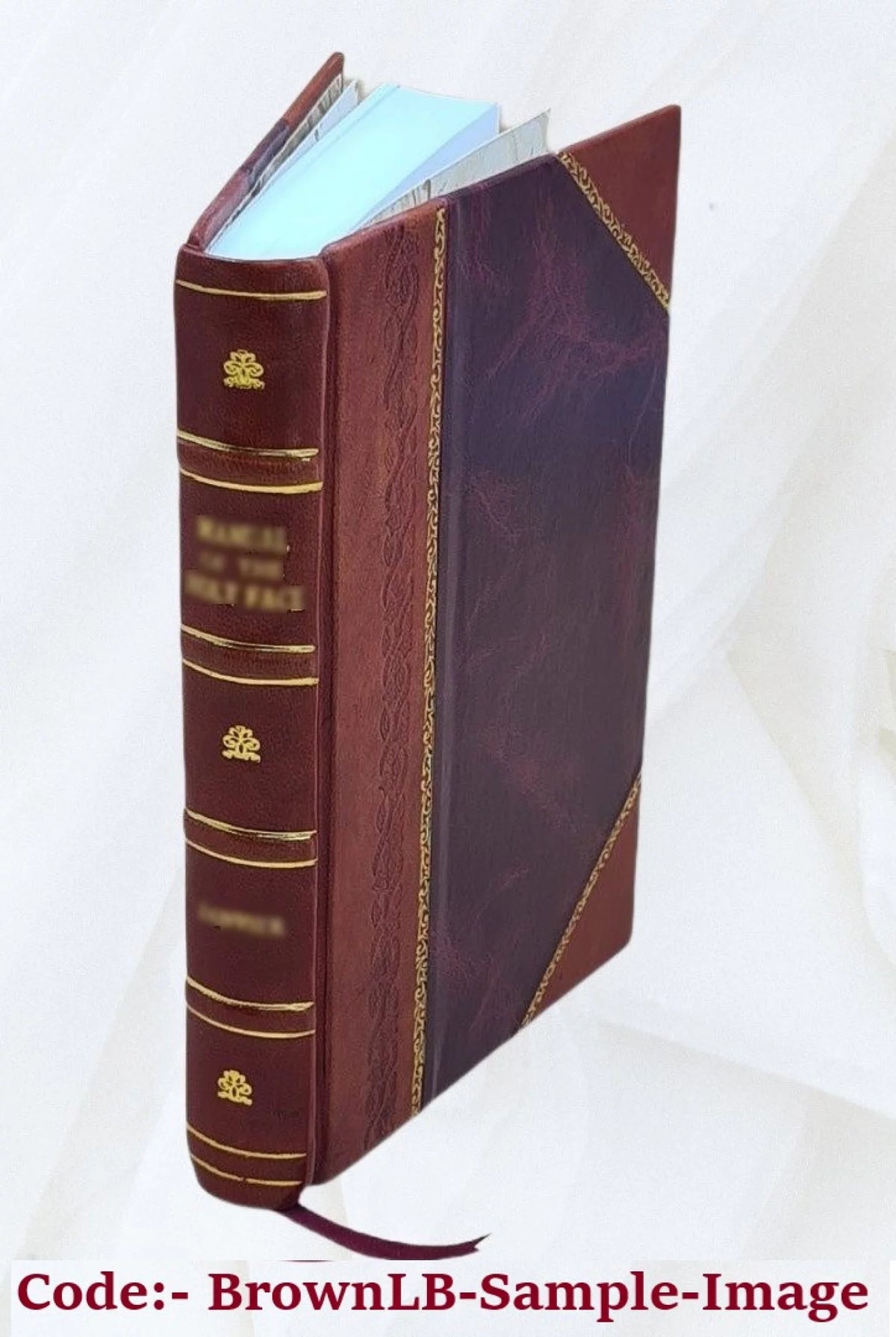 Leather Bound Book Q394303