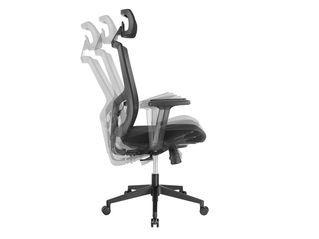 Ergonomic Office Chair with Foam Seat, Adjustable Headrest, Lumbar Support, Armrests R69089