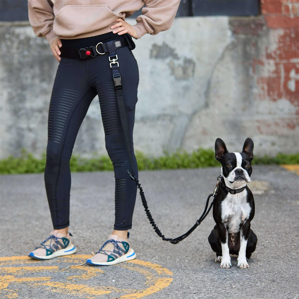 Waist Belt & Bungee Leash J98552