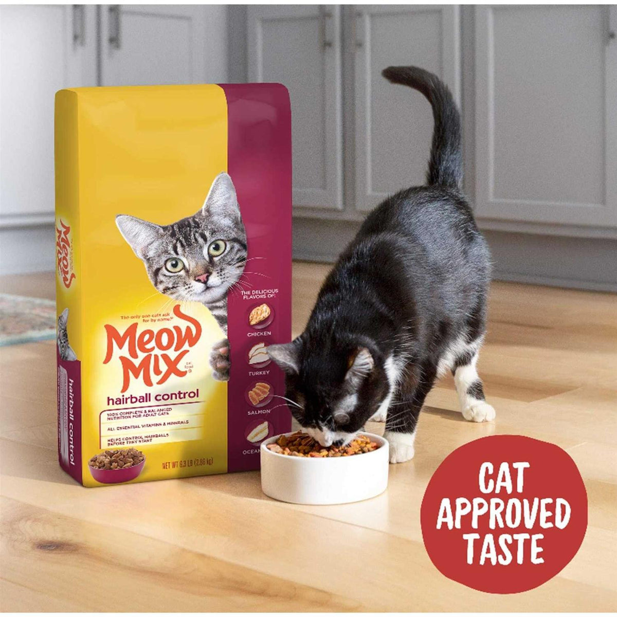 Hairball Control Dry Cat Food I2491