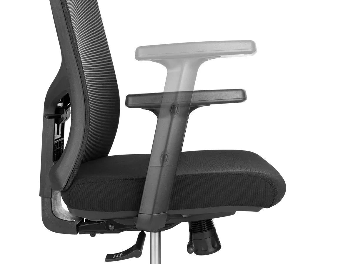 Ergonomic Office Chair with Foam Seat, Adjustable Headrest, Lumbar Support, Armrests R69089