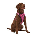 Neoprene Padded Dog Harness M68588