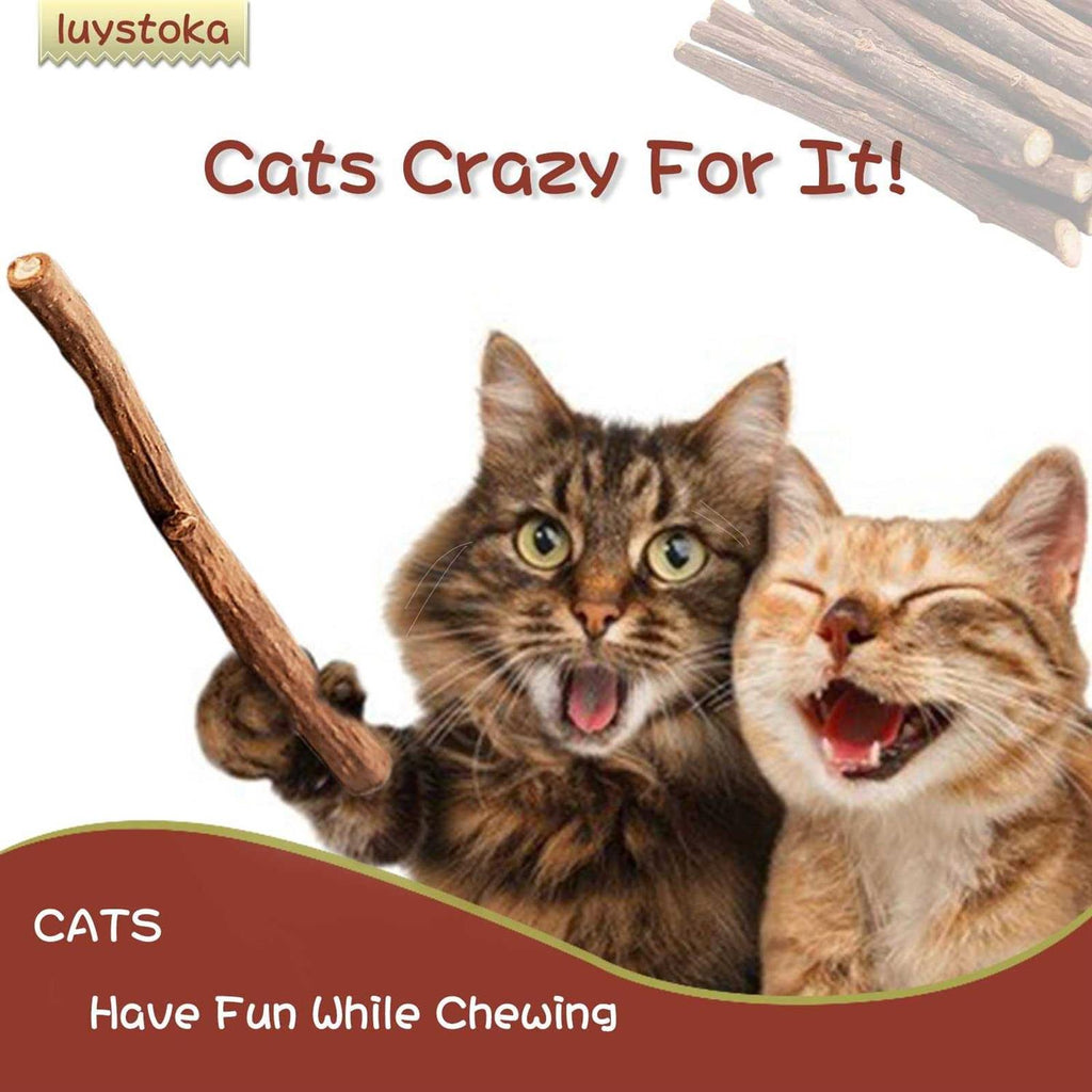 30pcs Catnip Silvervine Sticks Kitten Chew Toys R652537