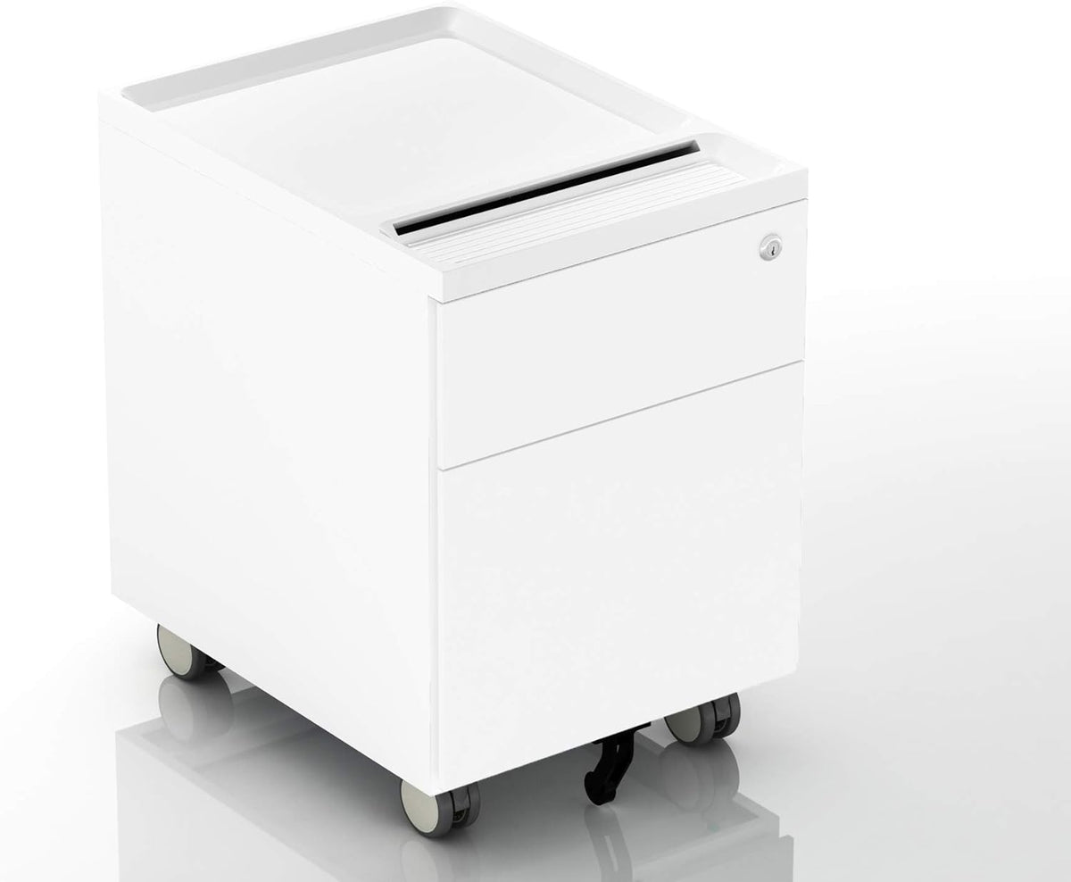 2 Drawer Mobile Filing Cabinet with Lock and Casters S70645
