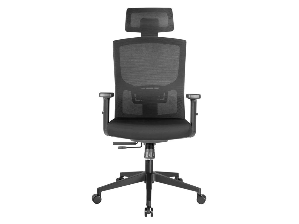 Ergonomic Office Chair with Foam Seat, Adjustable Headrest, Lumbar Support, Armrests R69089