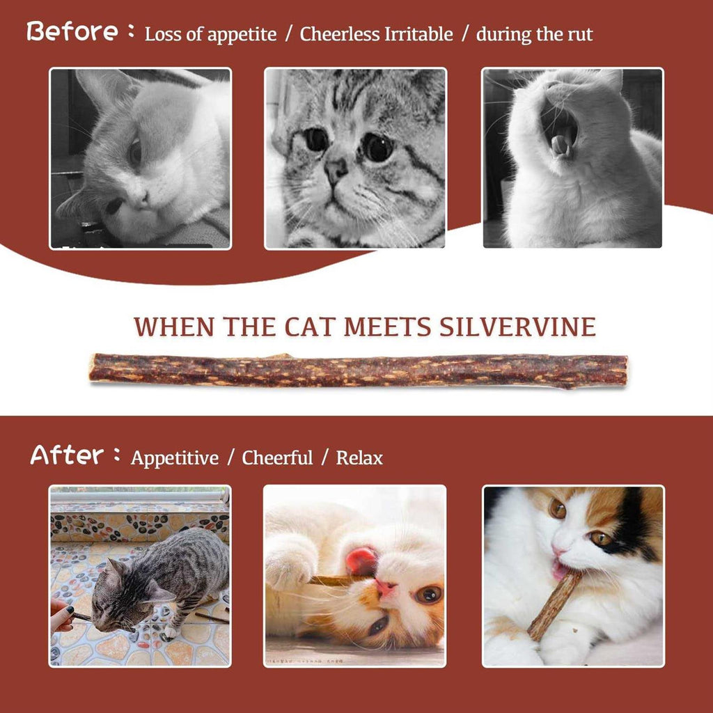 30pcs Catnip Silvervine Sticks Kitten Chew Toys R652537