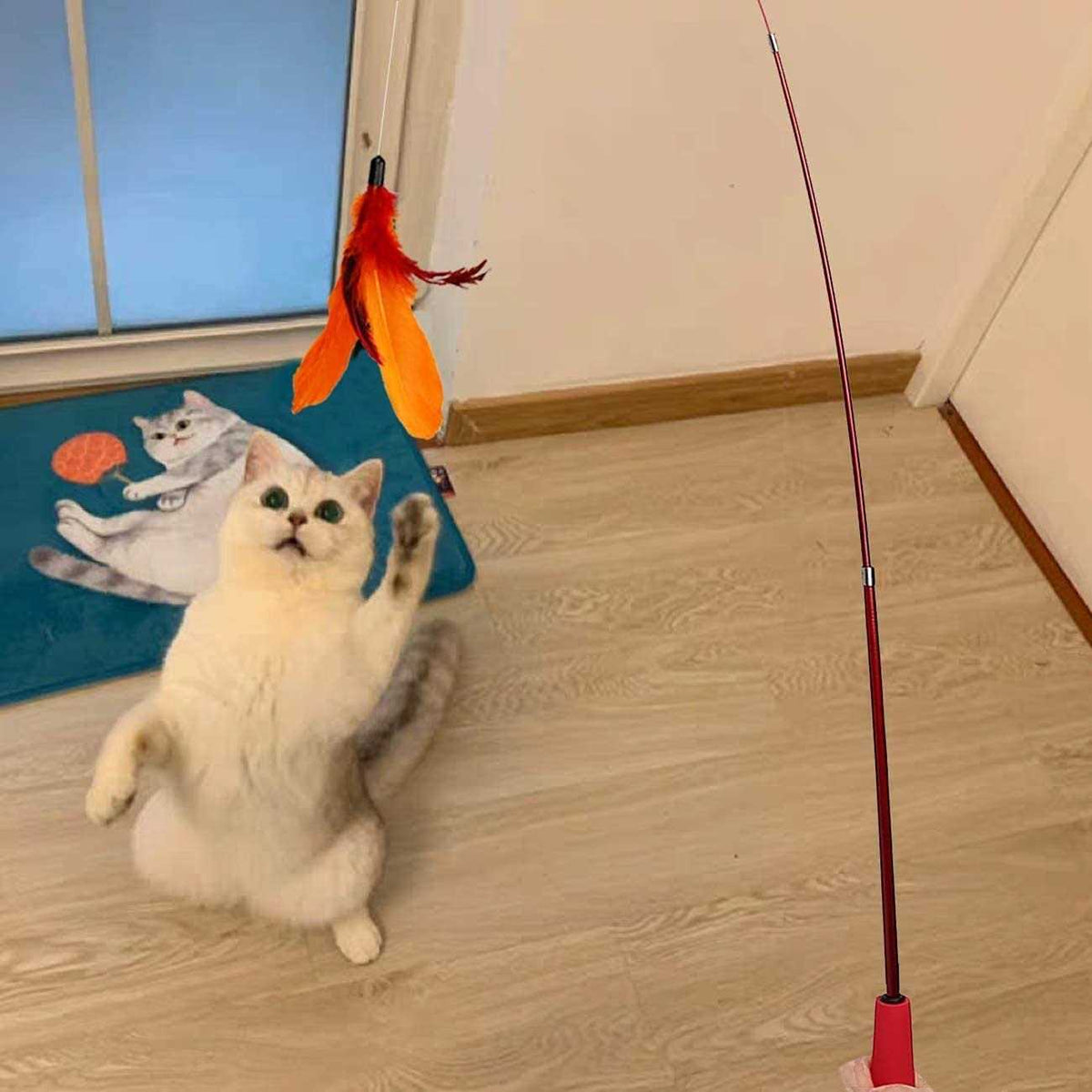 Interactive Cat Toy 2PCS Retractable Wand Toy and 9PCS Feather Toys Refills F5425