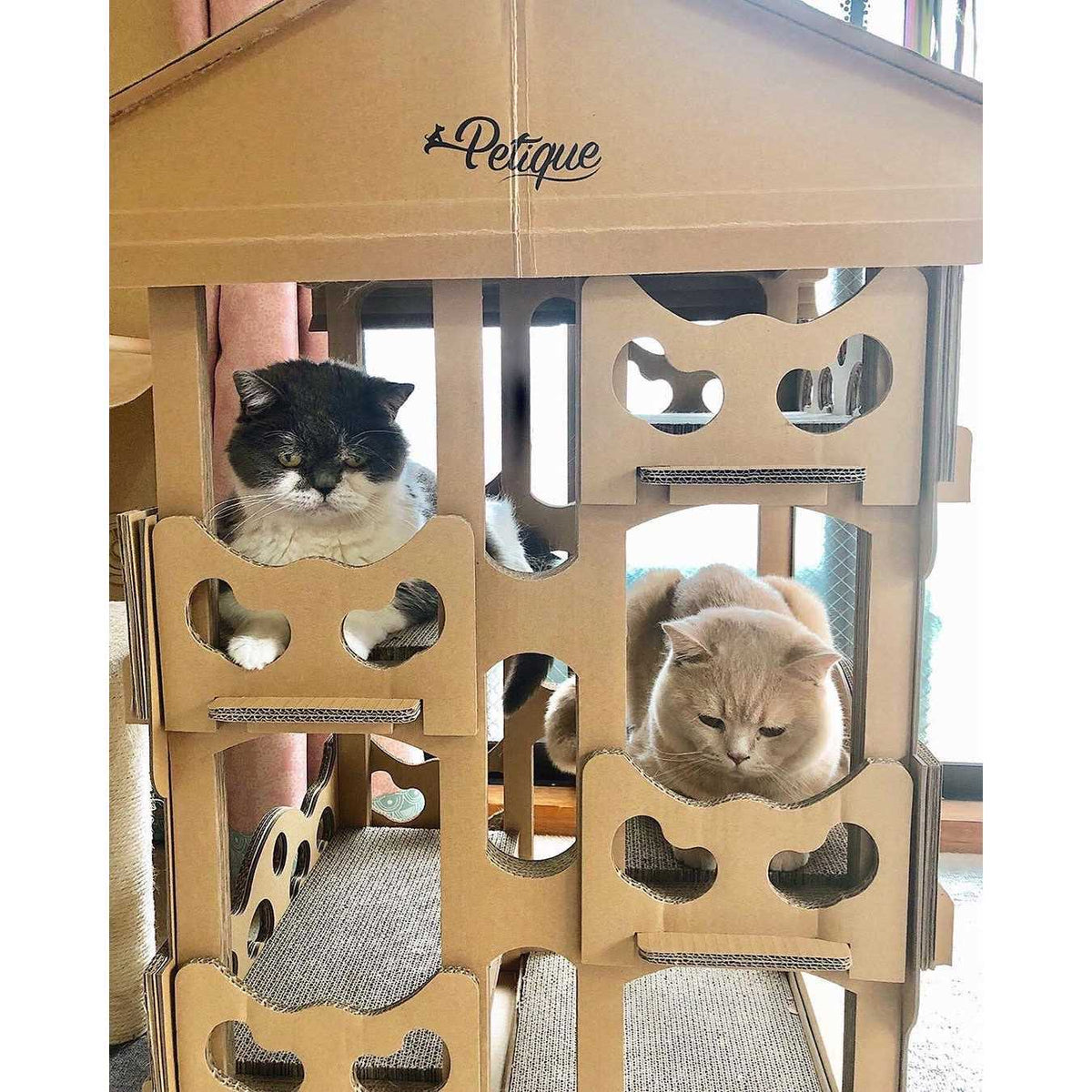 Cat House A397