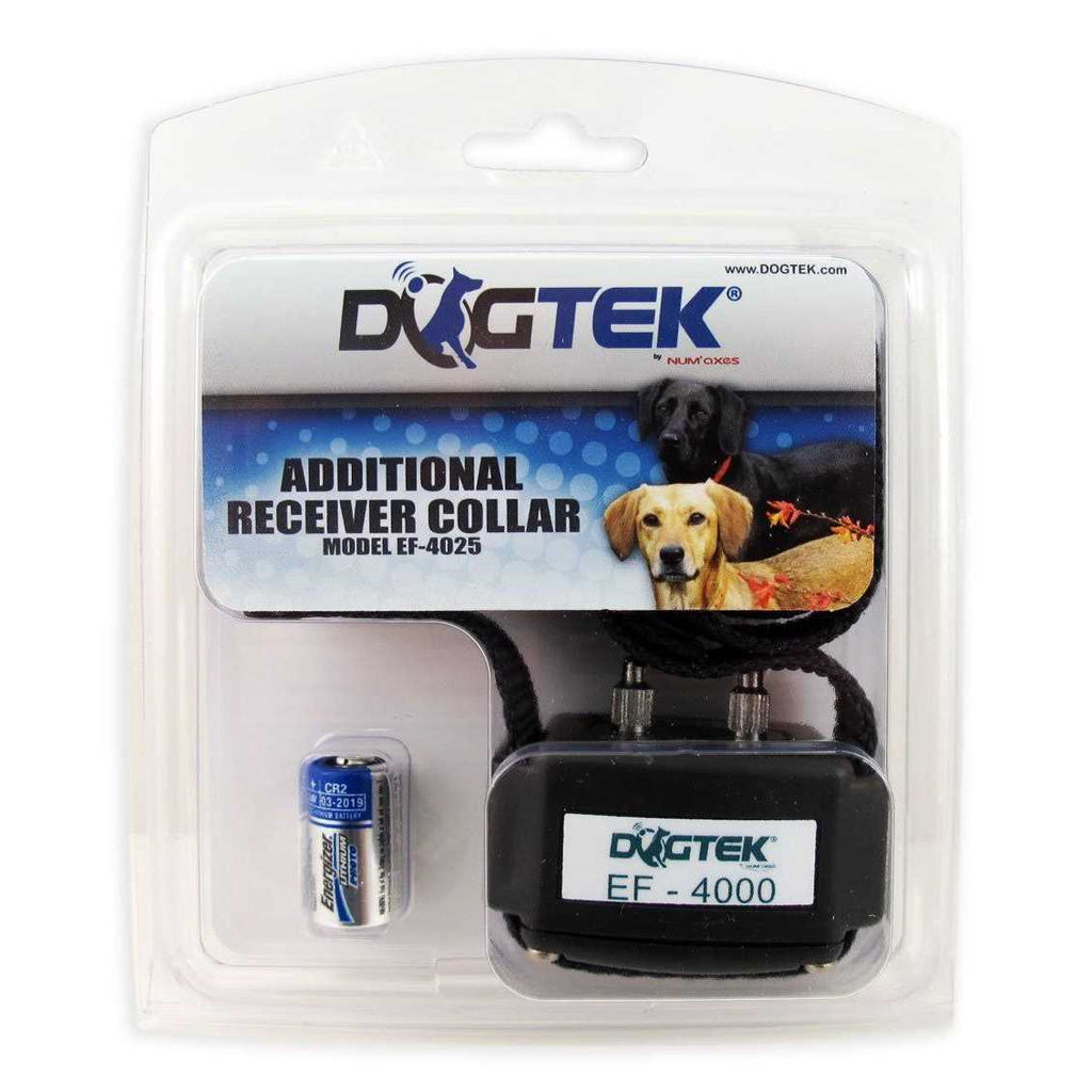 Dog Collar T787166