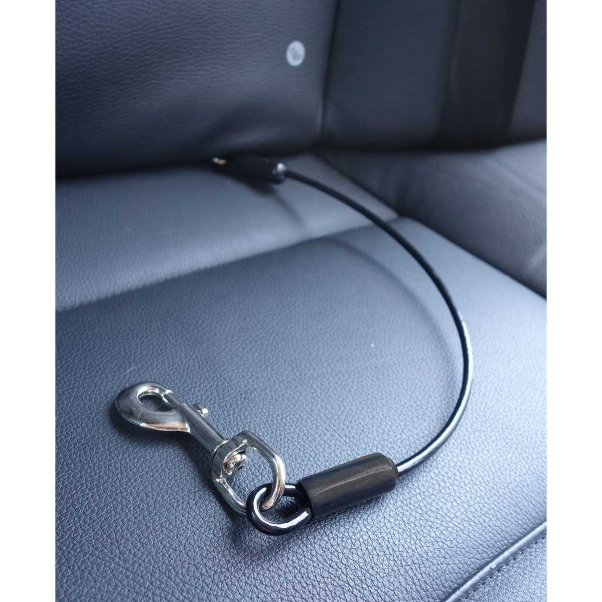 Dog Car Seat Belt Restraint D191