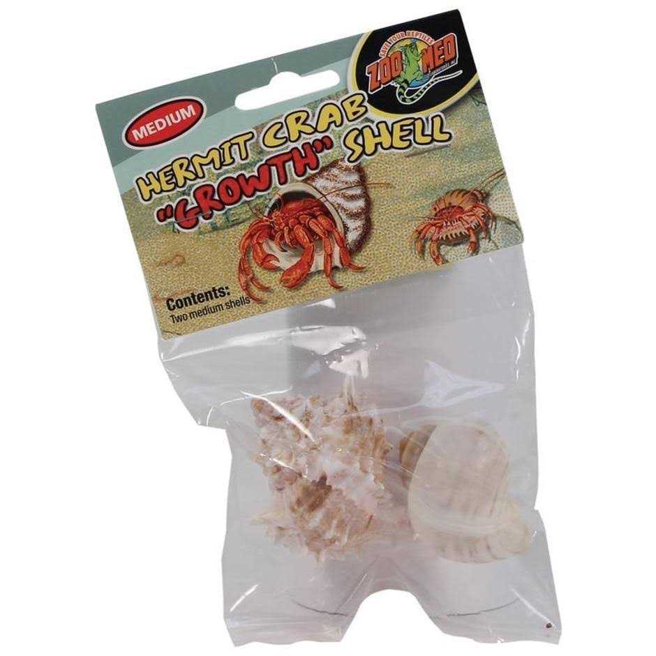 Hermit Crab Shell O1701