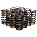 Single Inner Valve Springs T546