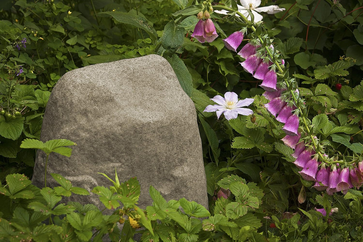 Small Lightweight Landscape Rock C77291