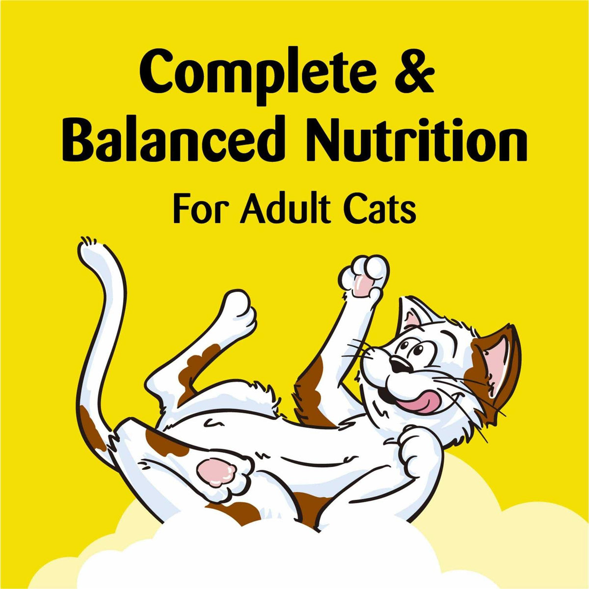 Cat Treats Catnip Fever J91547