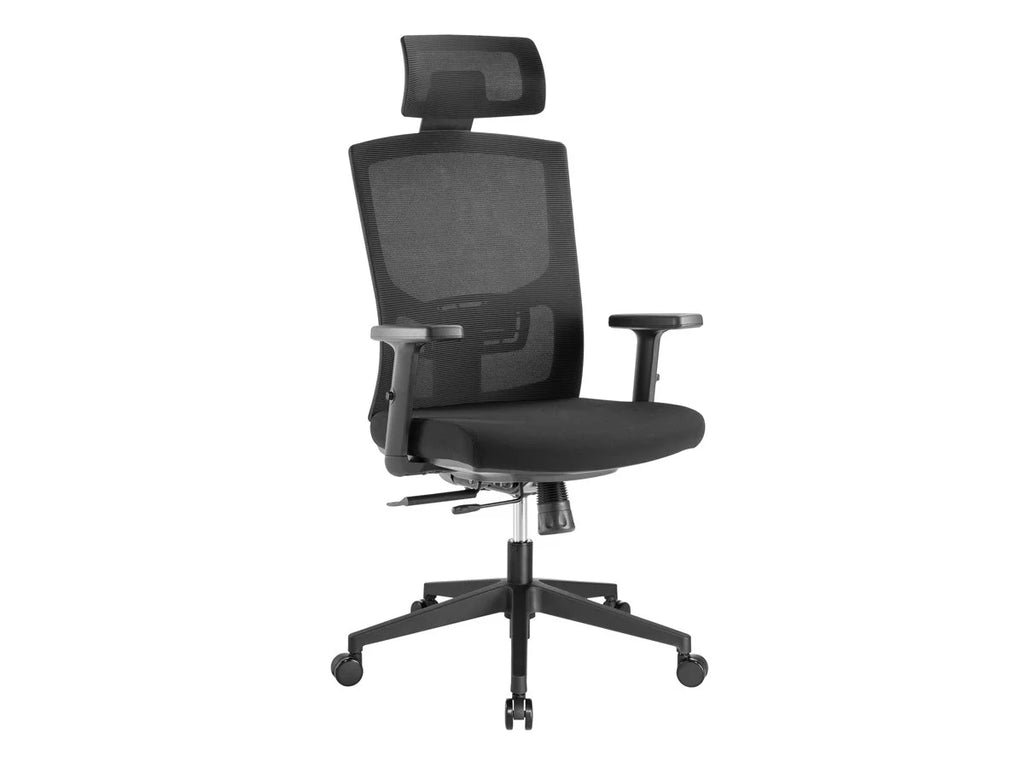 Ergonomic Office Chair with Foam Seat, Adjustable Headrest, Lumbar Support, Armrests R69089