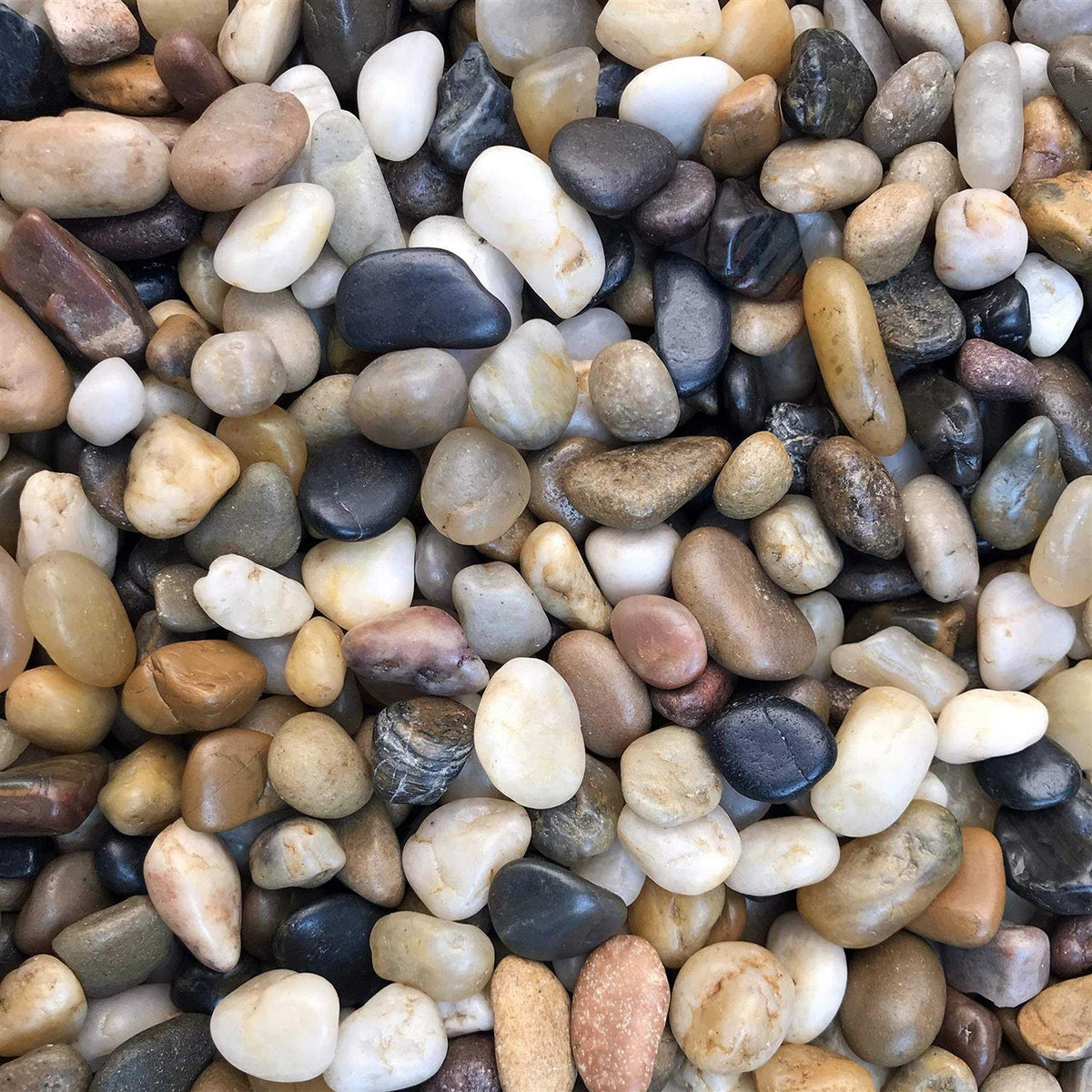 Natural Decorative Polished Mixed Pebbles River Rock Stones O42143