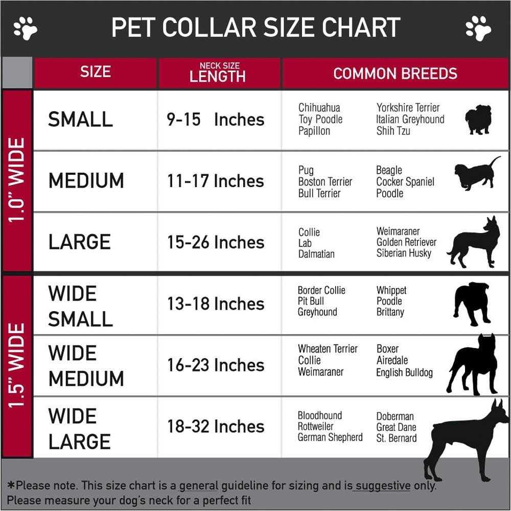 Dog Collar Seatbelt Buckle W728