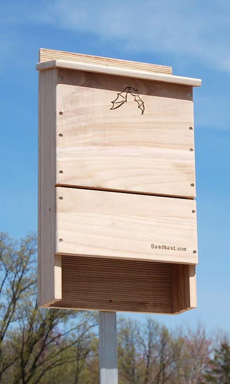 Triple-Celled Bat House U331