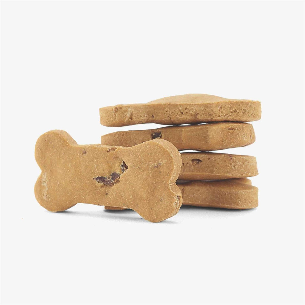 Bacon Biscuits Grain-Free & Gluten-Free Dog Treats J3502