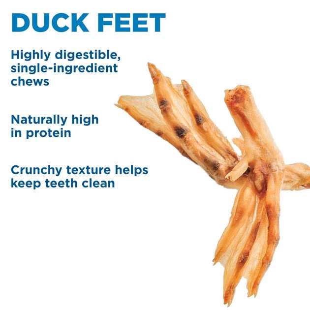 Duck Feet Dog Treats L29787