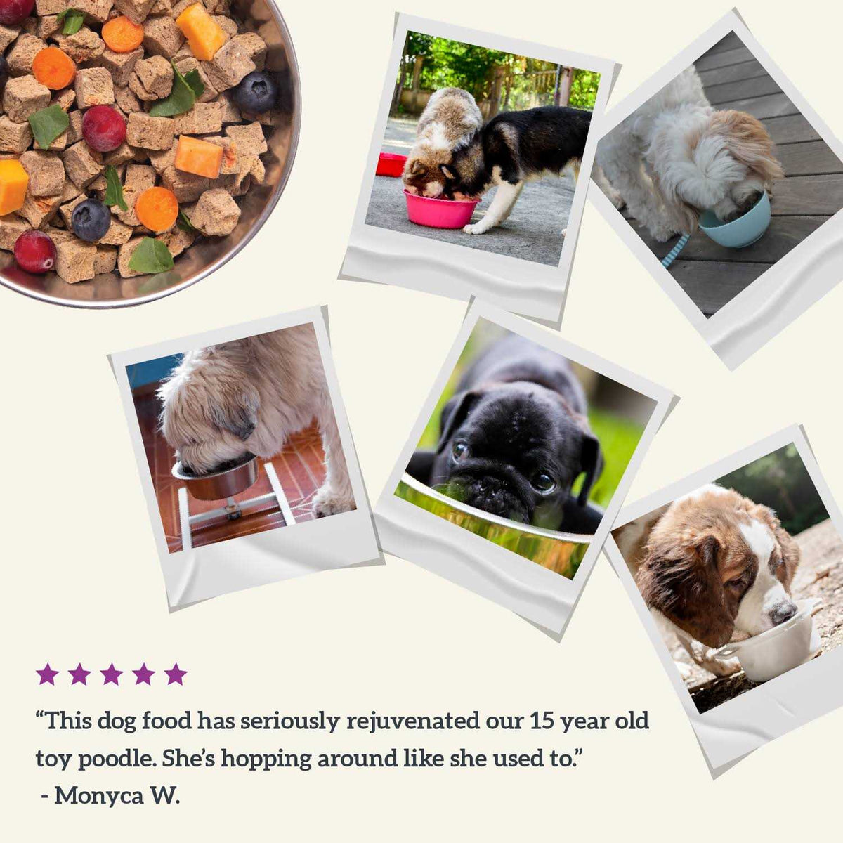 Air Dried Beef Recipe Dog Food E991657