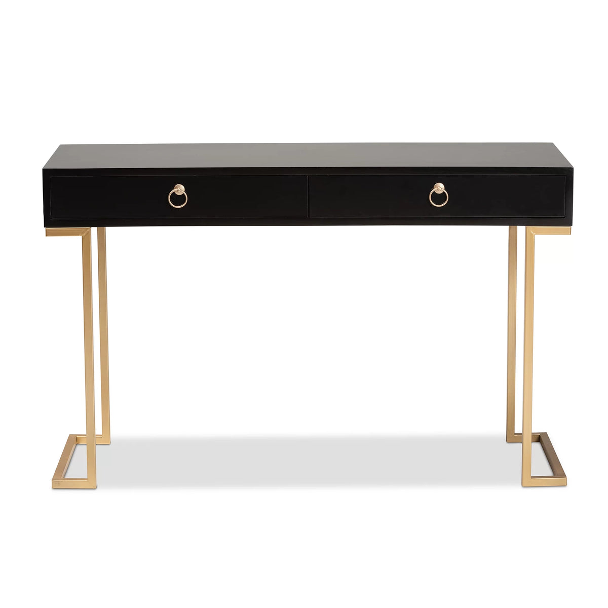 Modern Wood and Metal 2 Drawer Console Table Y7383