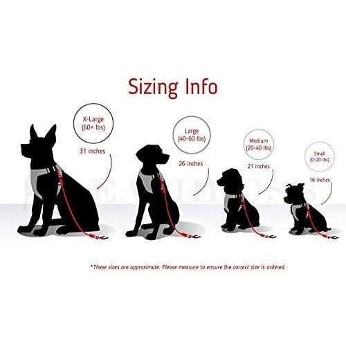 Dog Car Seat Belt Restraint D191