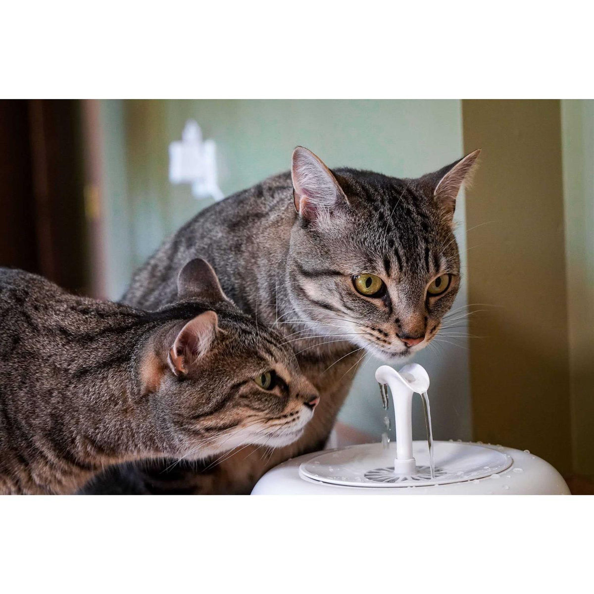 Water Fountain for Cats and Small Dogs with 5-Layer Filter N17770