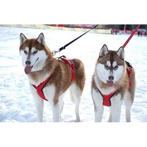 Dog Pulling Harness S625774