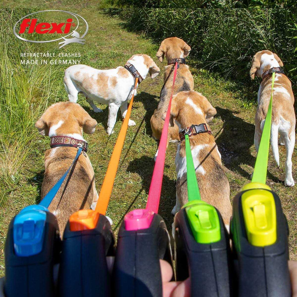 Retractable Tape Leash L9364