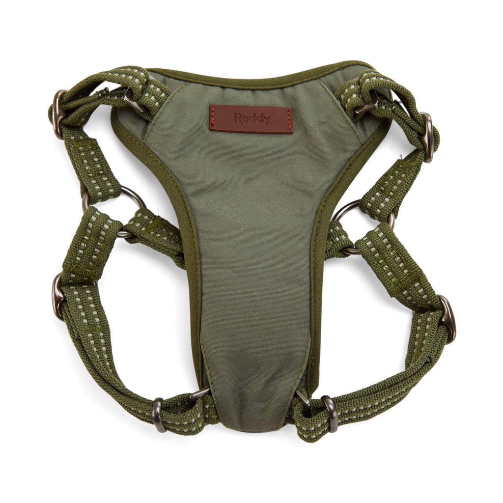 Small Dog Harness B30857