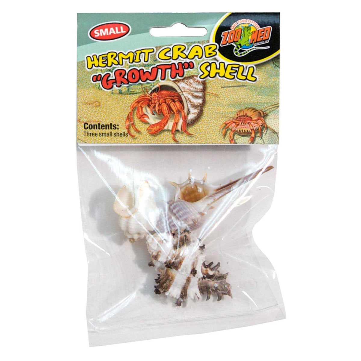 Hermit Crab Shell O1701
